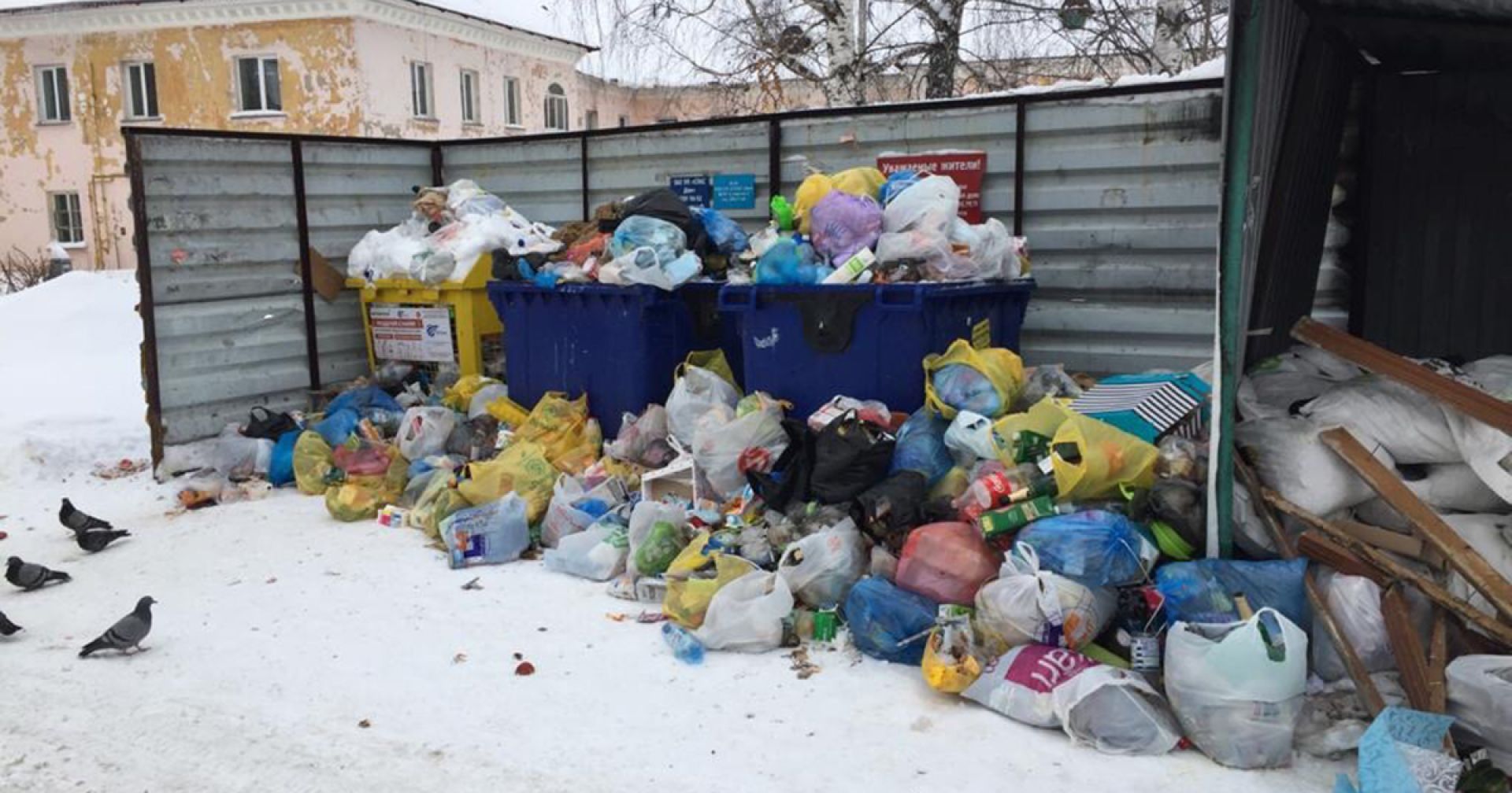 Новосибирск утопает в мусоре | Ведомости законодательного собрания НСО